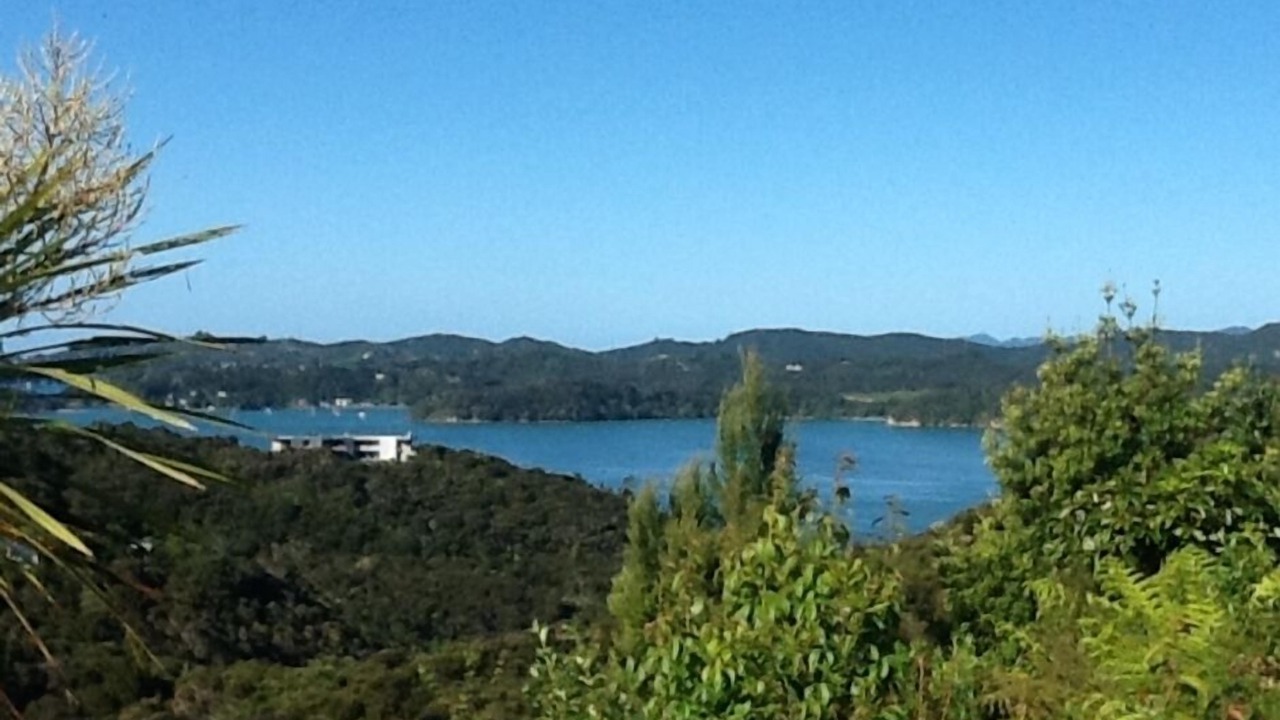 Photo of Others in Paihia