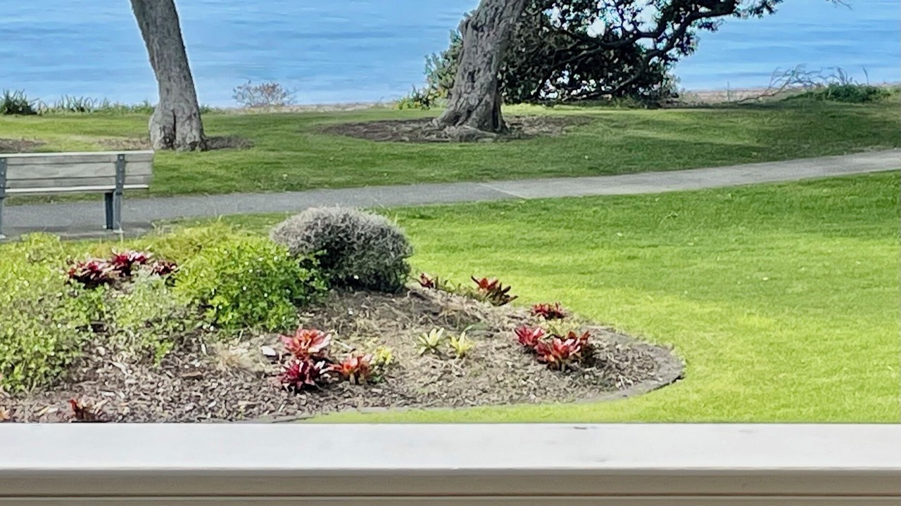 Photo of Others in Snells Beach