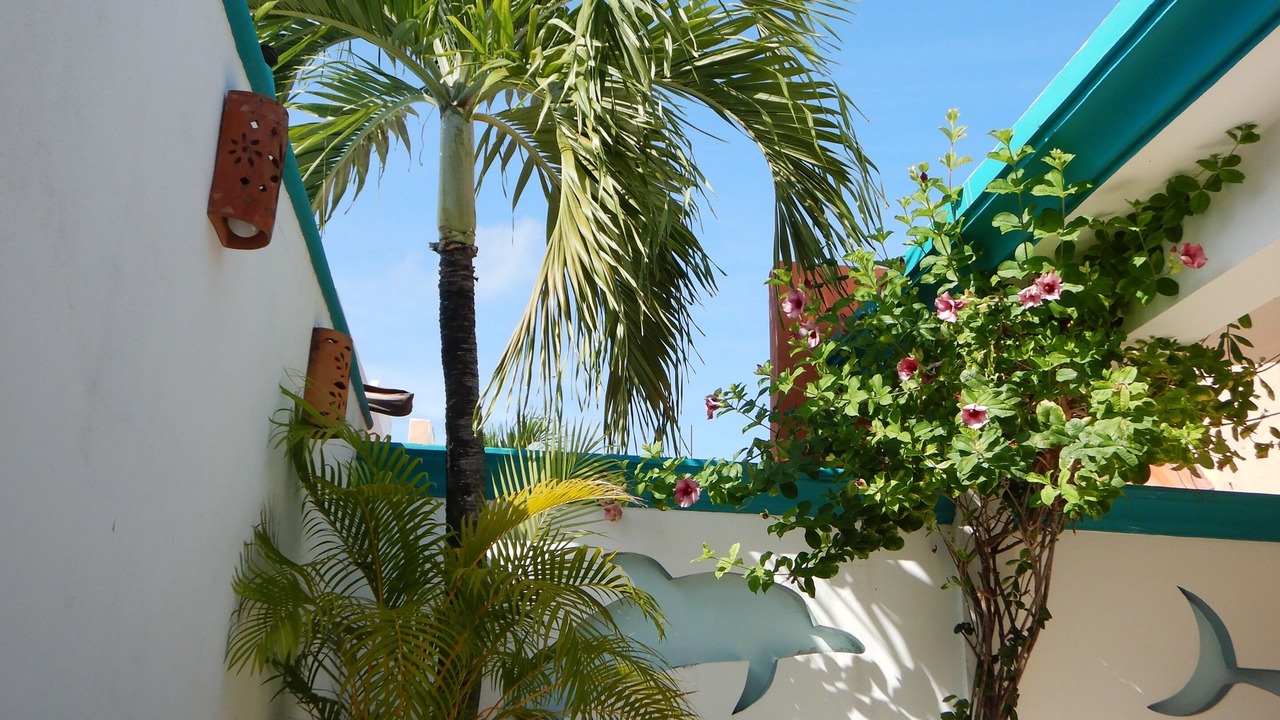 Photo of Outdoor in Chan Chemuyil
