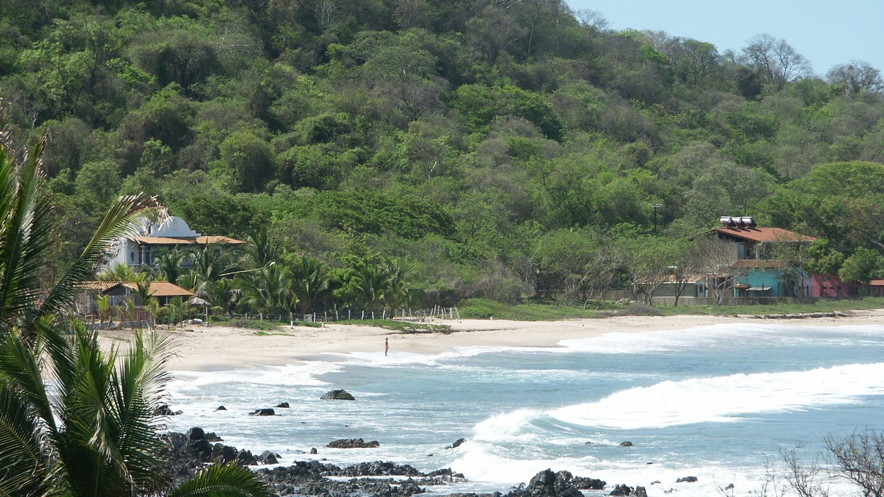 Photo of Others in Troncones