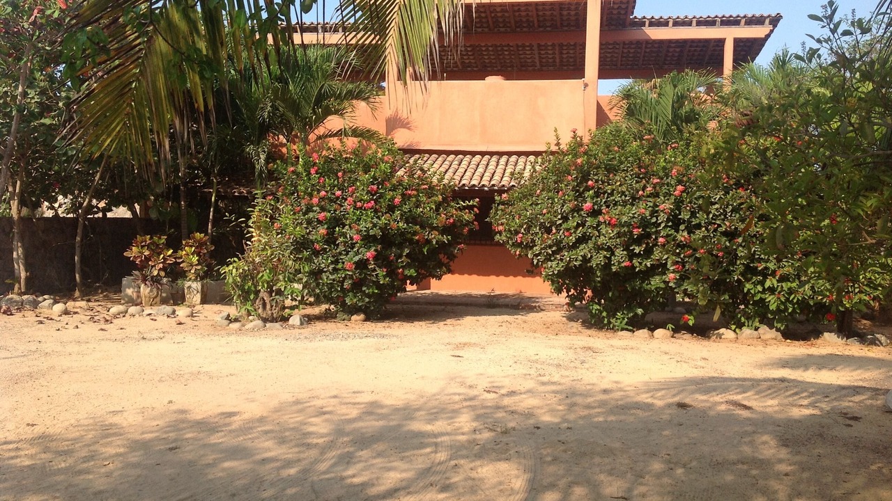 Photo of Others in Troncones