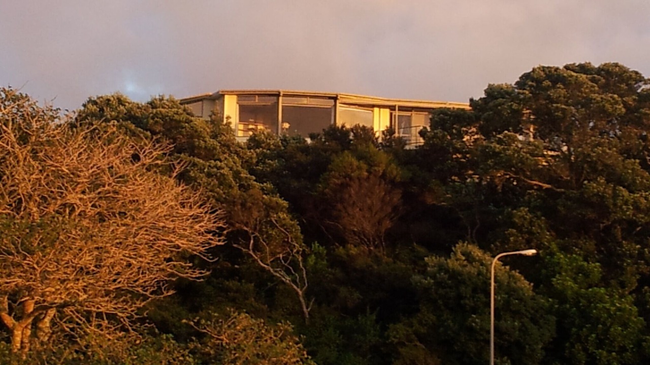 Photo of Others in Mangawhai Heads