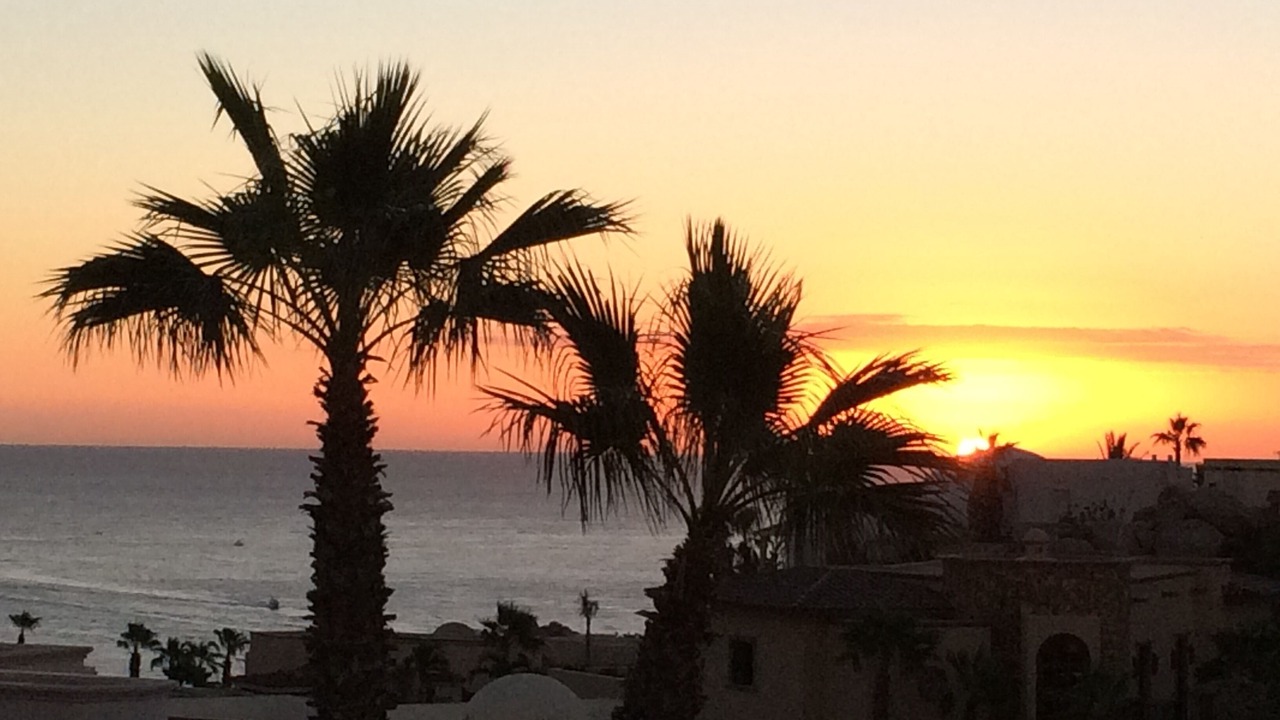 Photo of Others in Pedregal