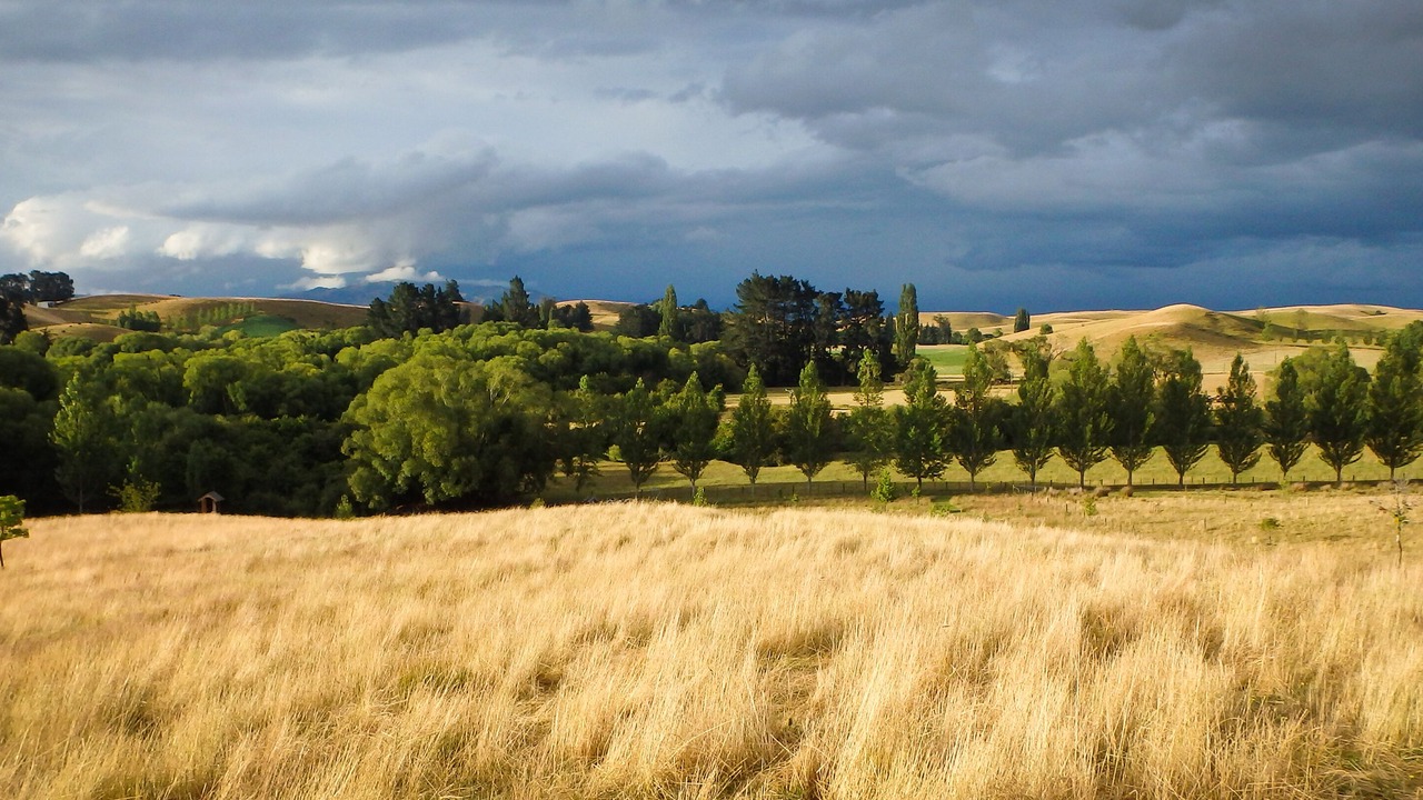 Photo of Outdoor in Cheviot