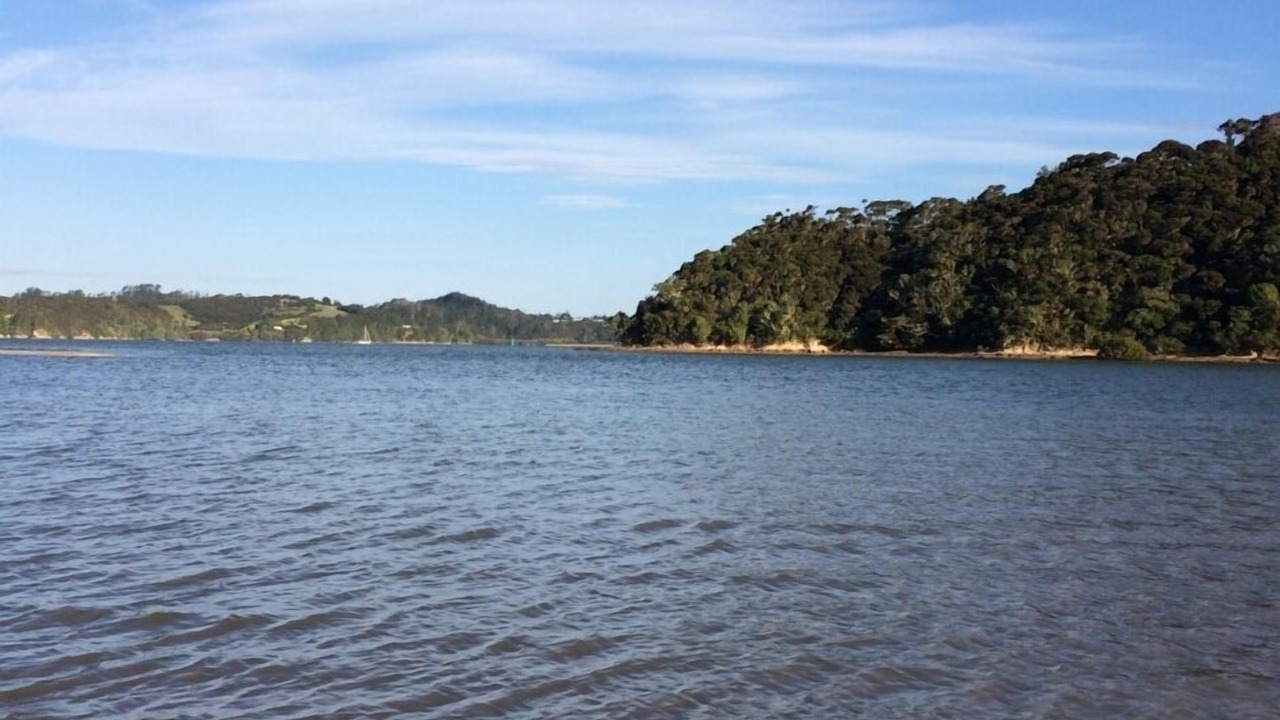 Photo of Others in Paihia