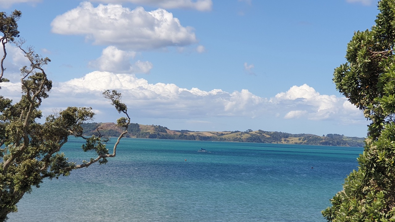 Photo of Others in Algies Bay