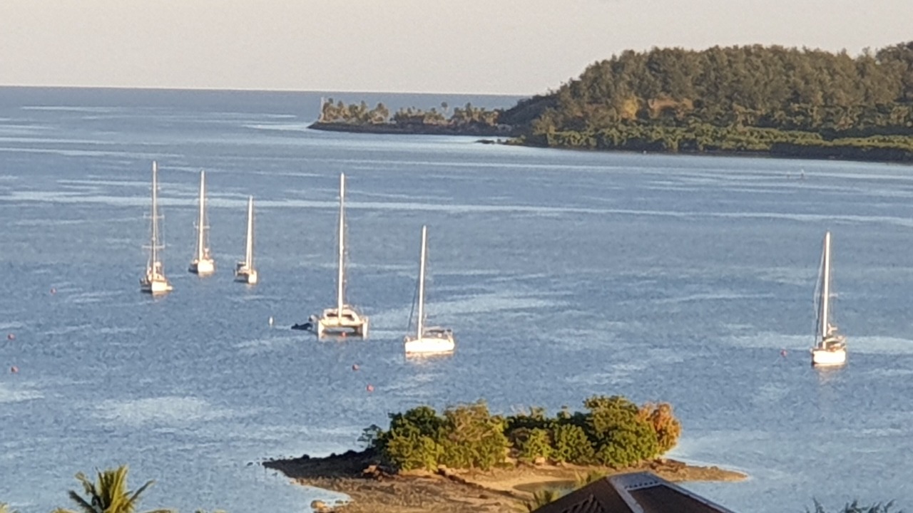 Photo of Others in Algies Bay