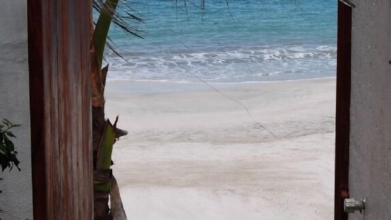 Photo of Others in Punta Negra