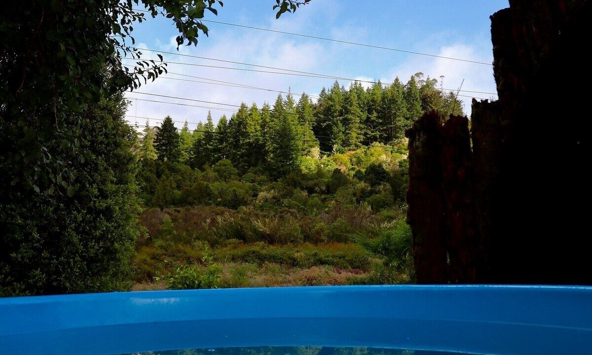Photo of Outdoor in Raurimu