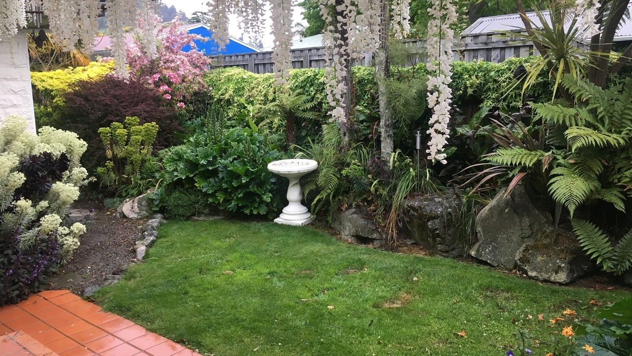 Photo of Others in Nelson