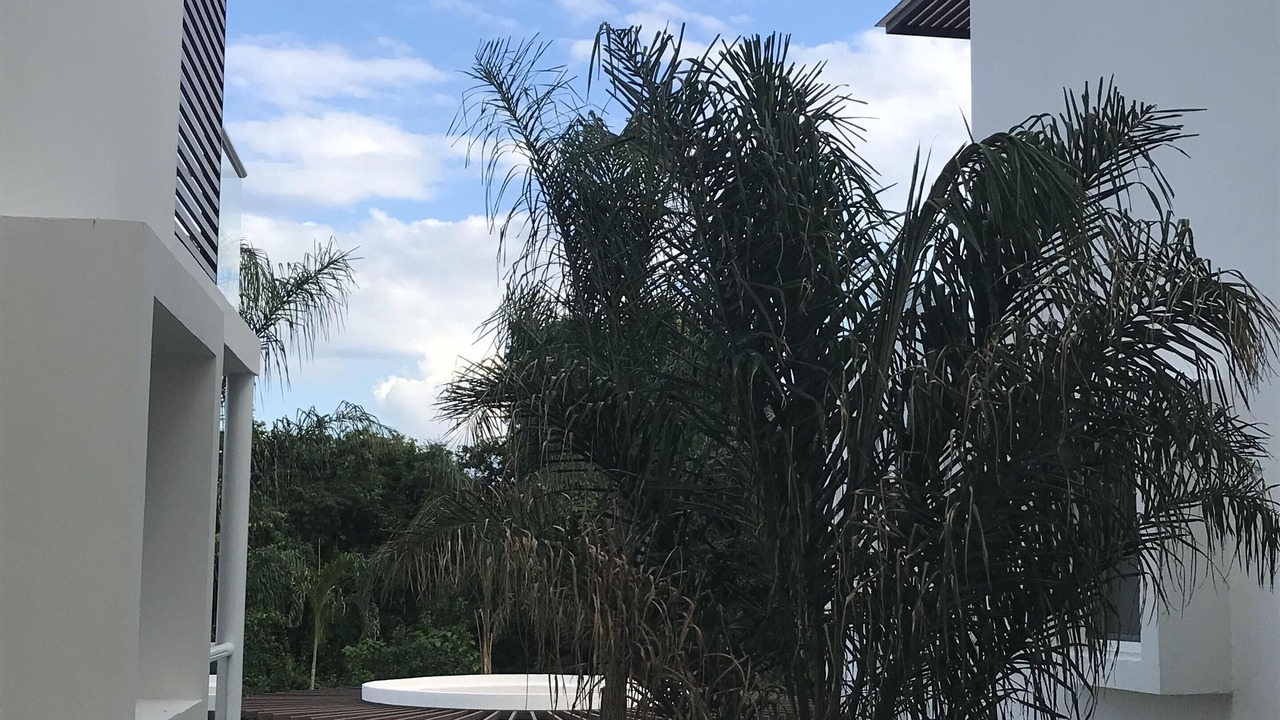 Photo of Others in Akumal