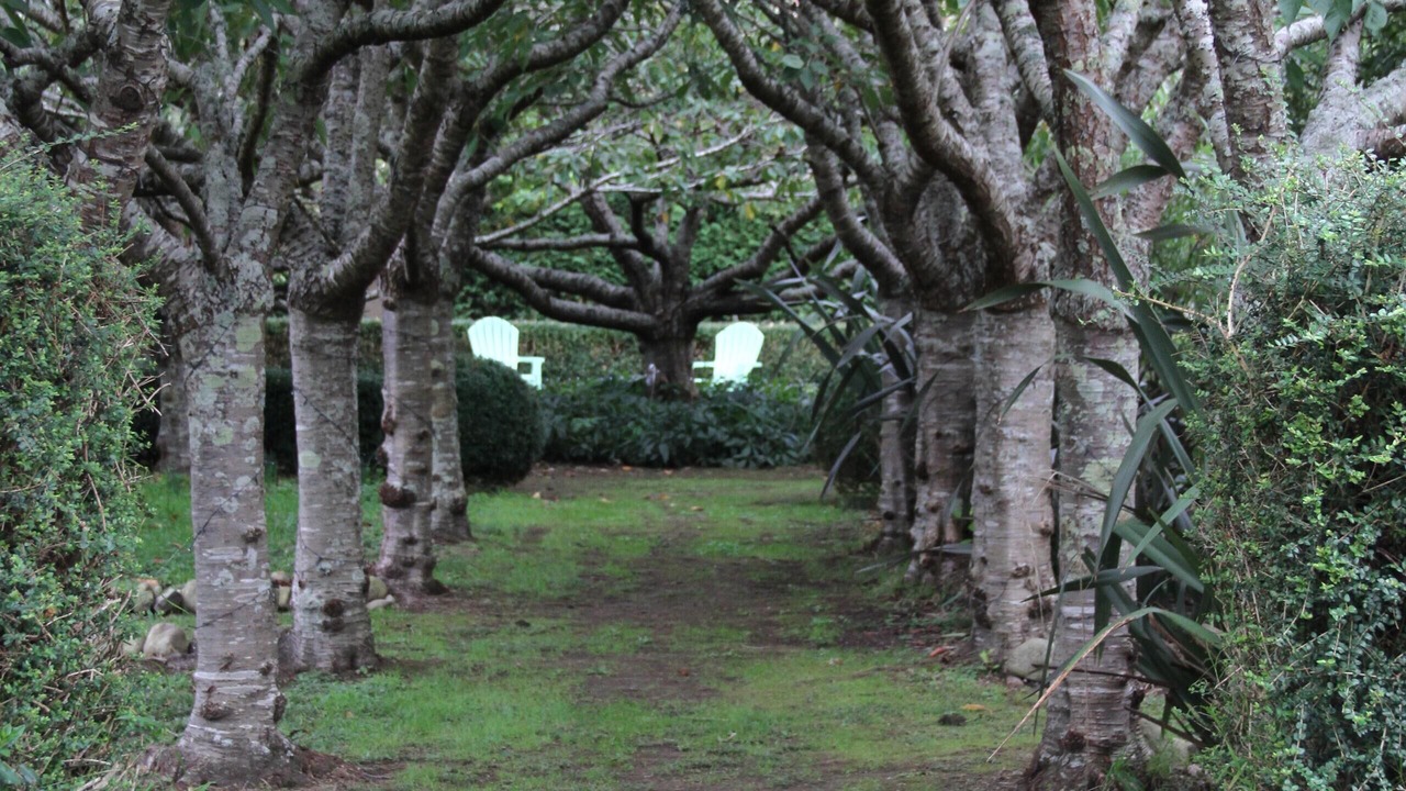 Photo of Others in Te Horo