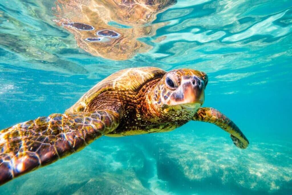 Photo of Others in Akumal