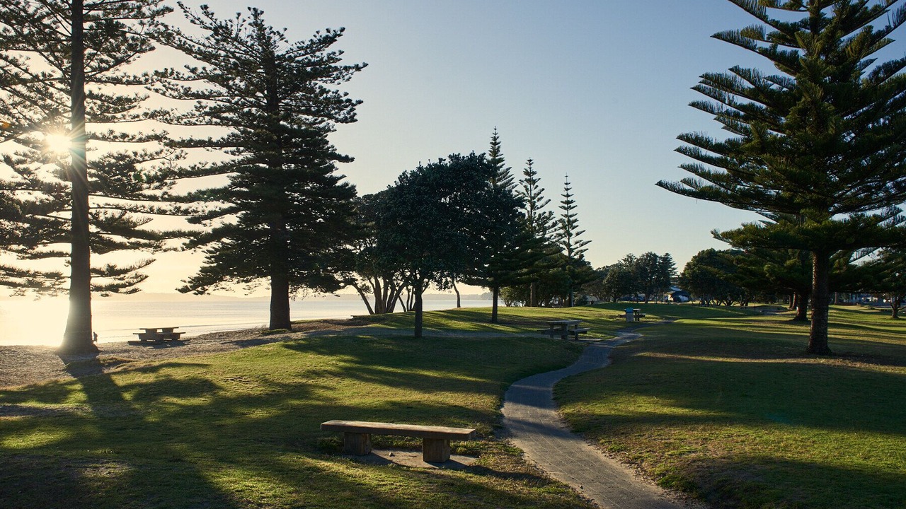 Photo of Others in Orewa