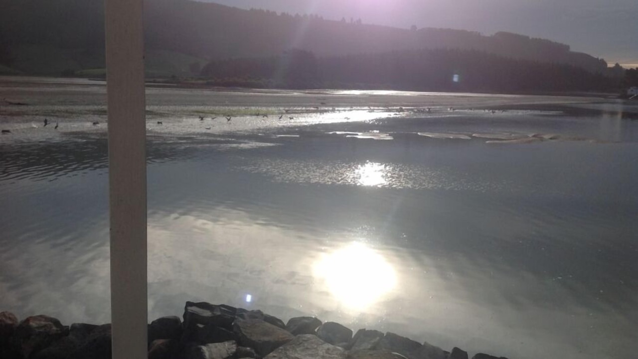 Photo of Others in Purakaunui
