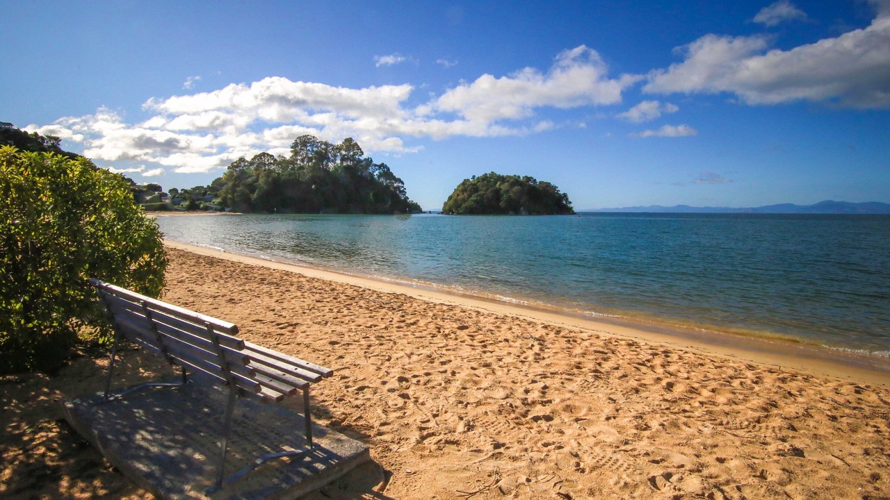 Photo of Others in Ngaio Bay