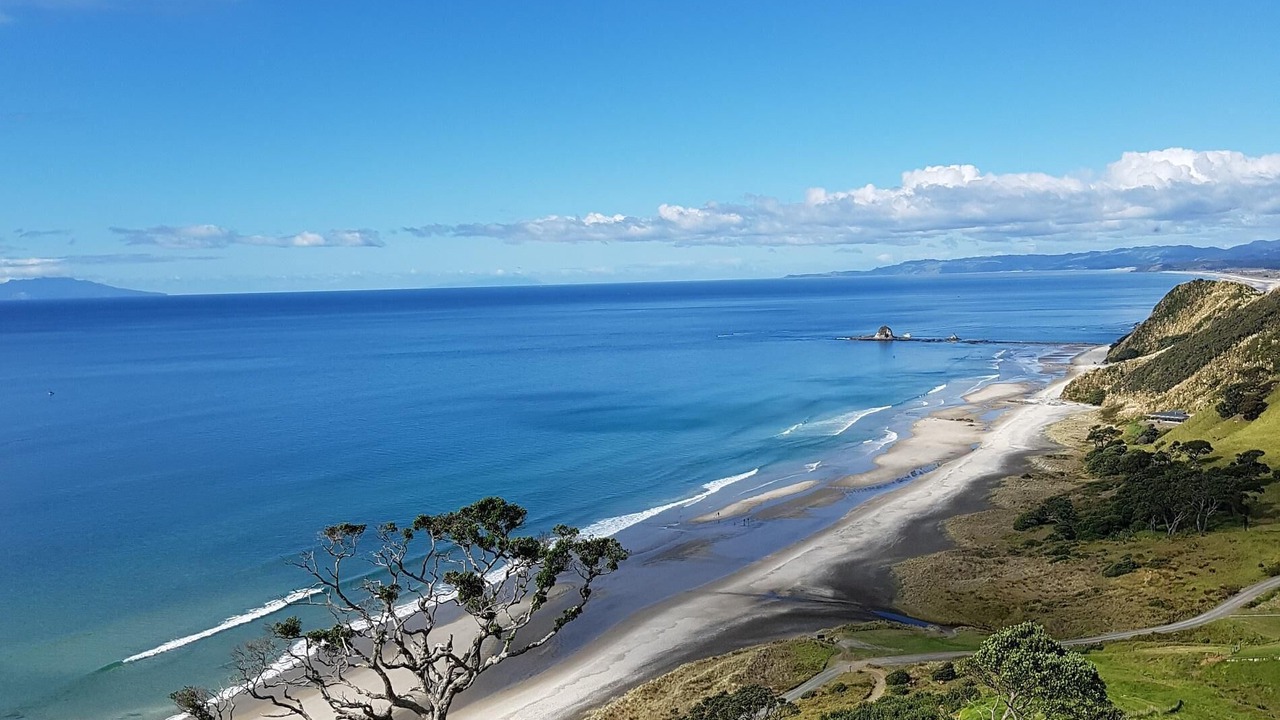 Photo of Others in Mangawhai Heads
