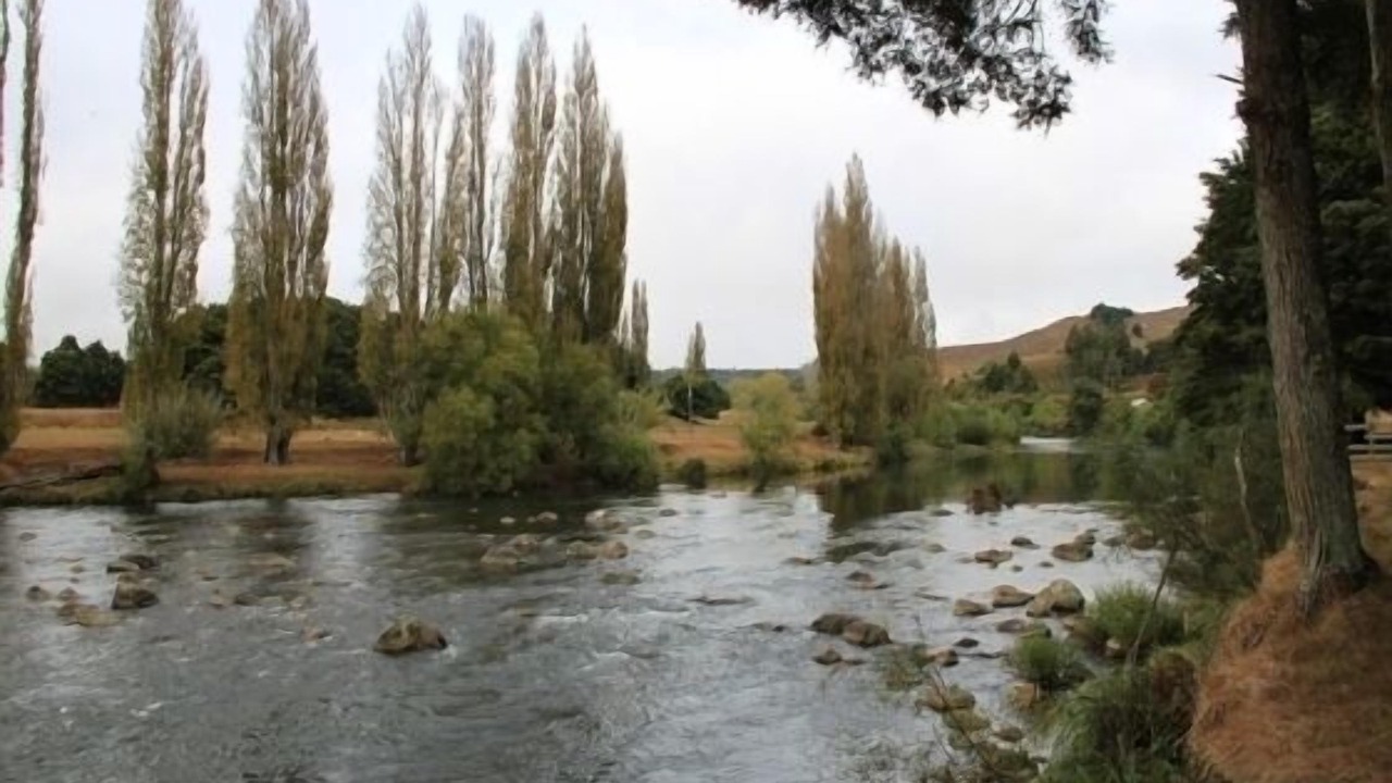 Photo of Others in Manunui