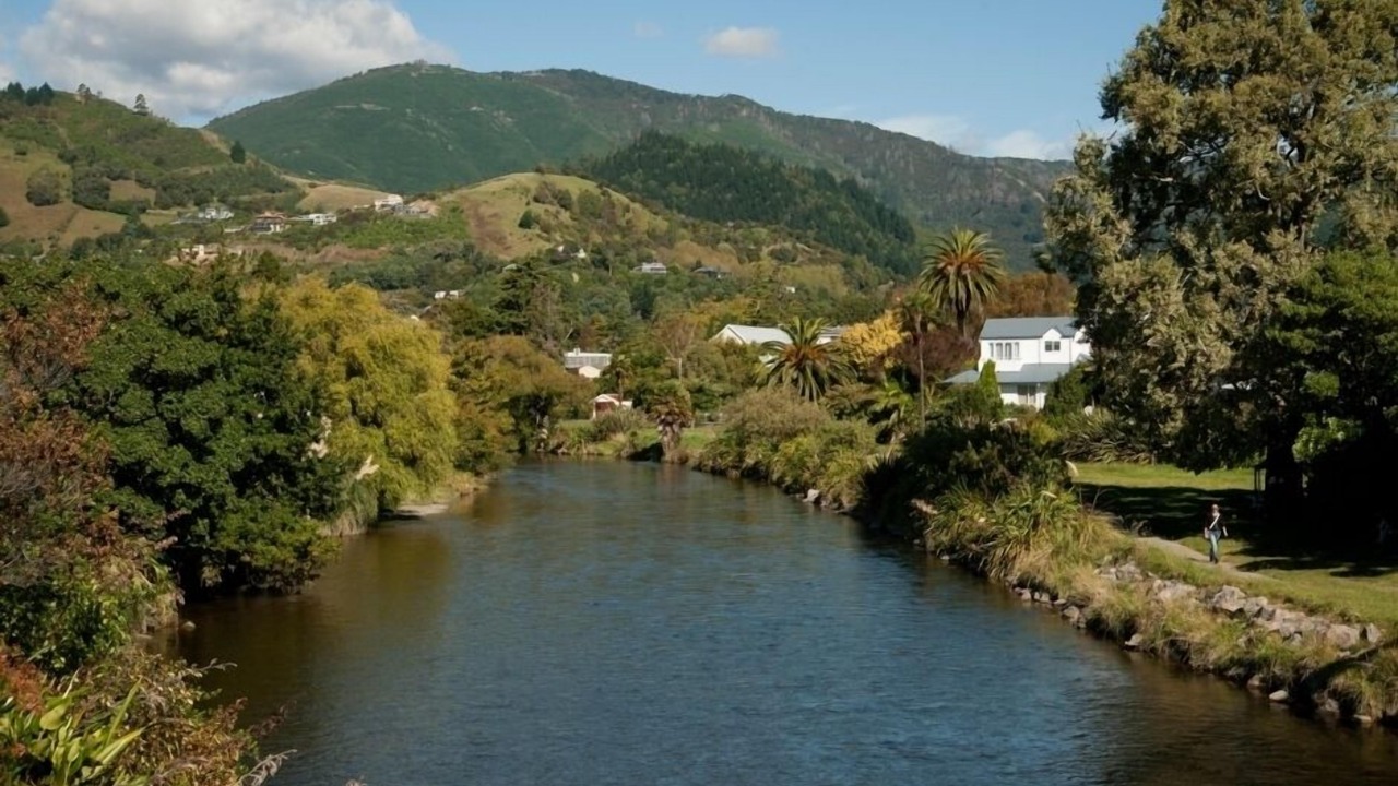 Photo of Others in Nelson City Centre