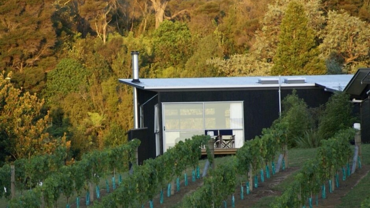 Photo of Others in Matakana