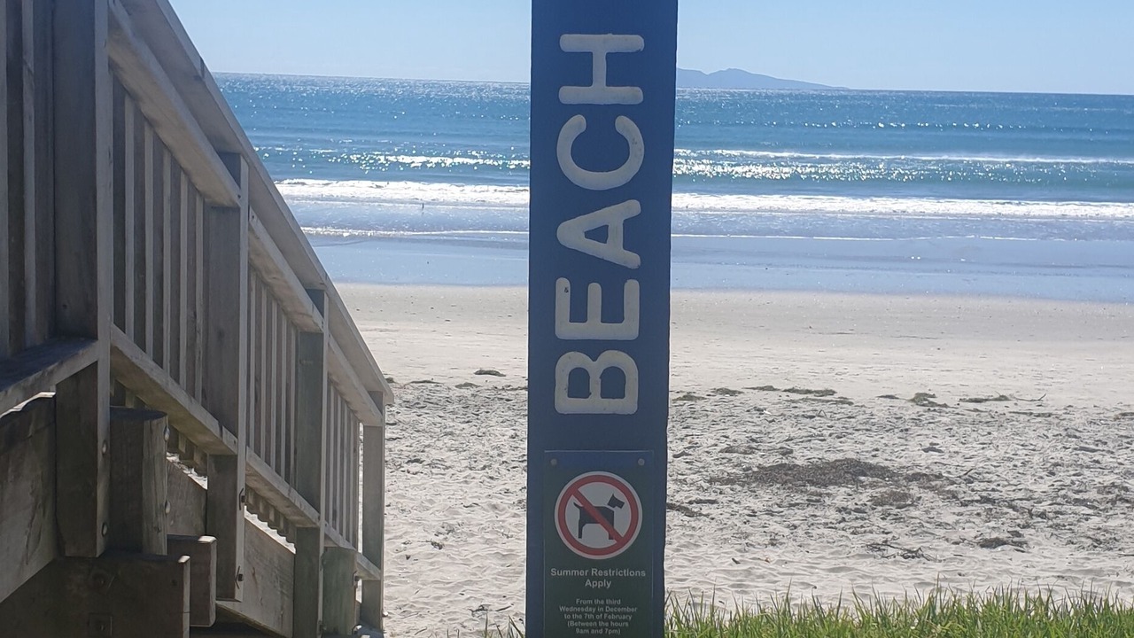 Photo of Others in Waihi Beach