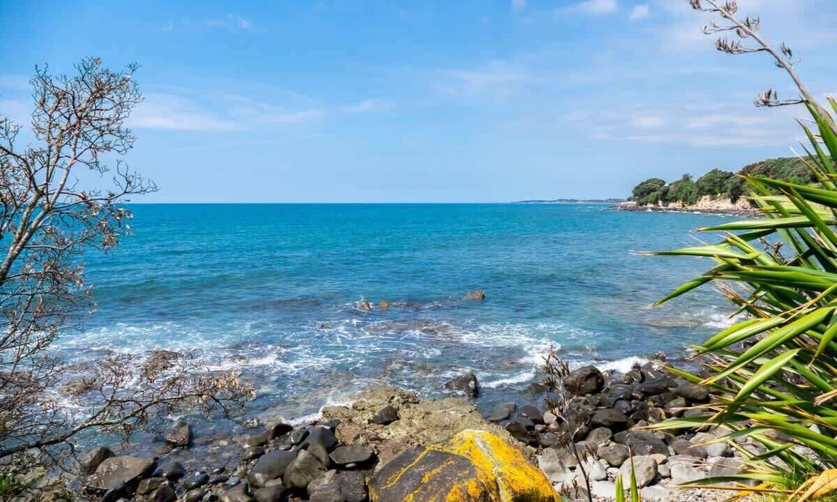 Photo of Others in New Plymouth