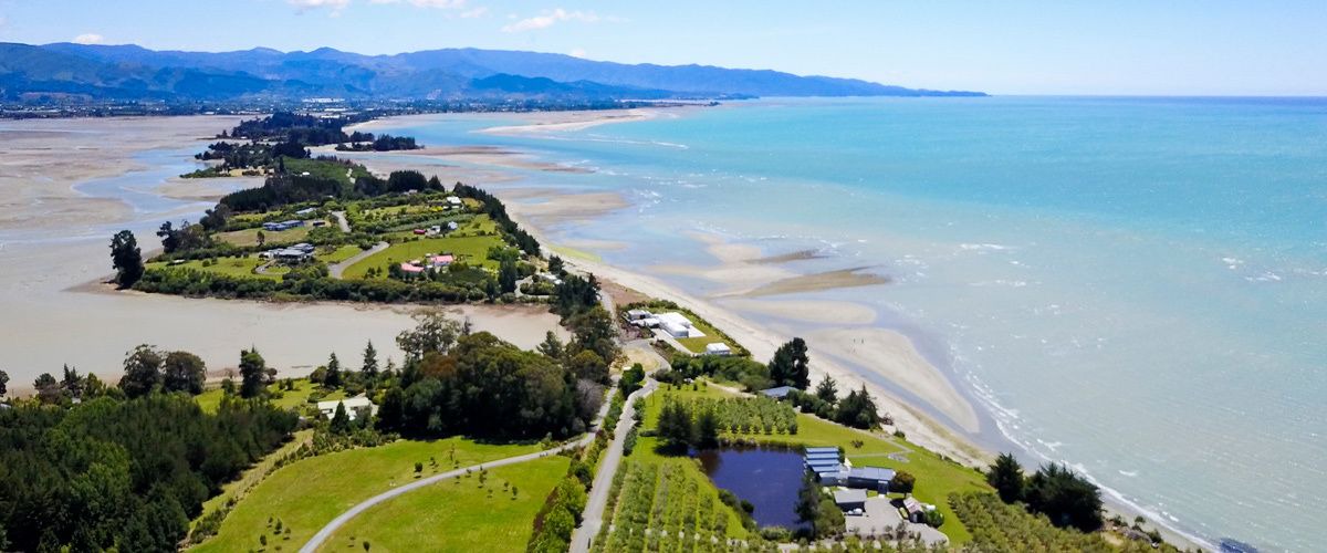 Photo of Outdoor in Tasman