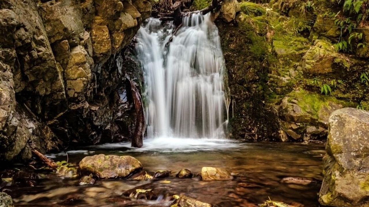 Photo of Outdoor in Peel Forest