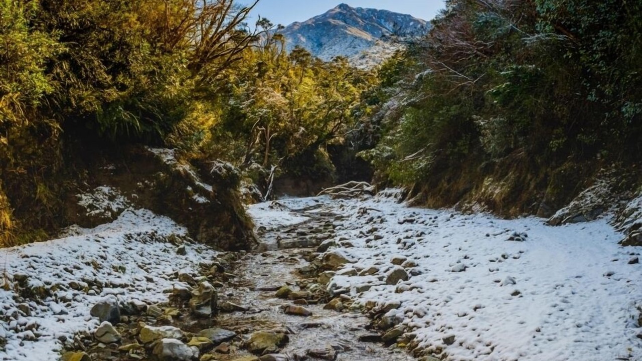 Photo of Outdoor in Peel Forest