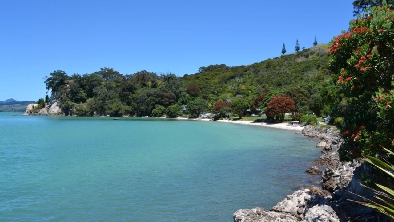 Photo of Others in Coromandel