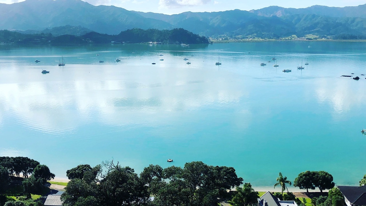 Photo of Others in Coromandel