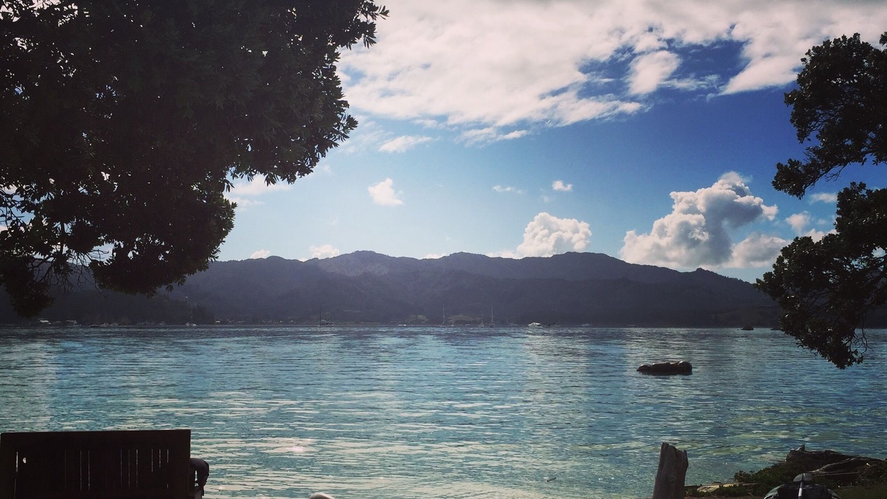 Photo of Others in Coromandel