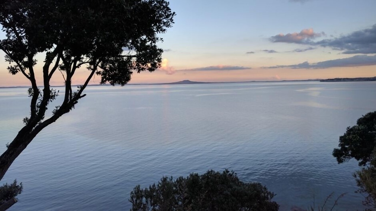 Photo of Others in Manly