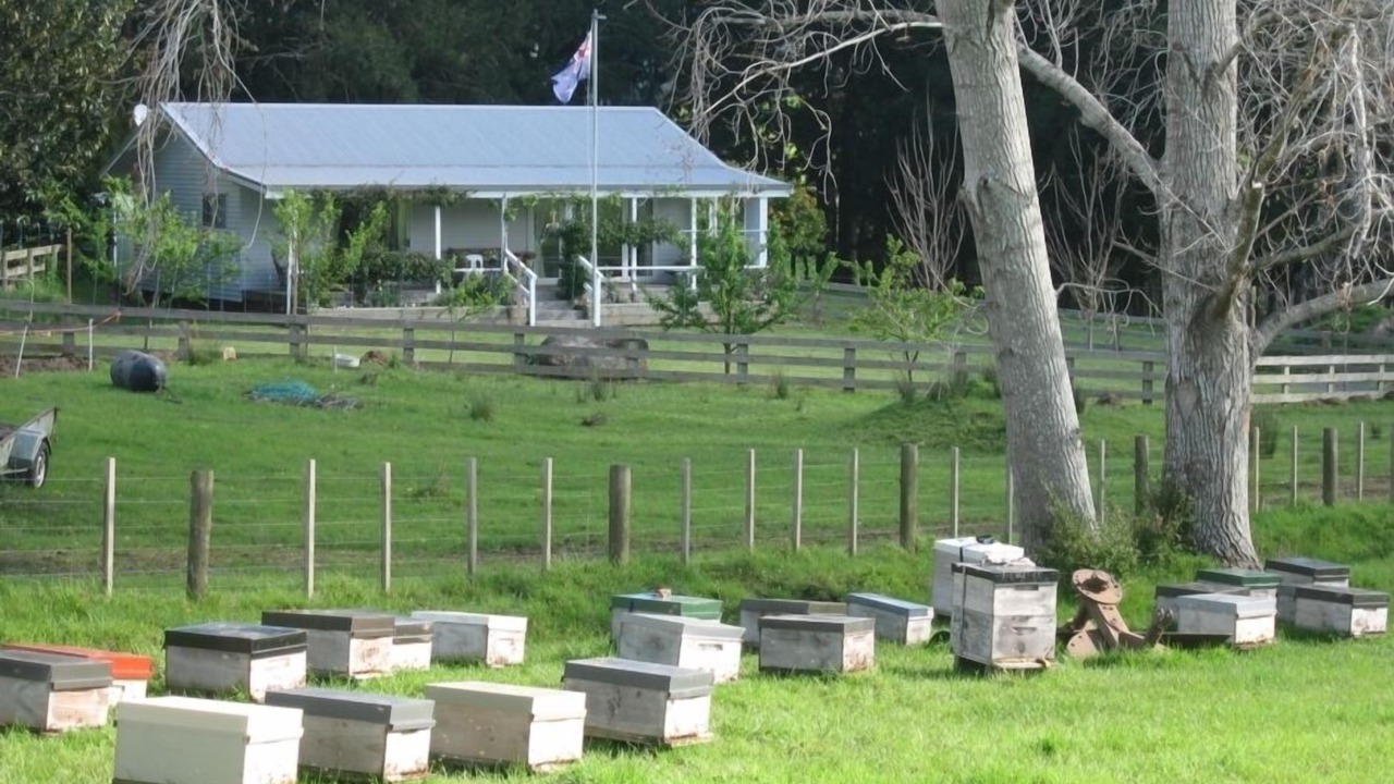 Photo of Others in Miranda
