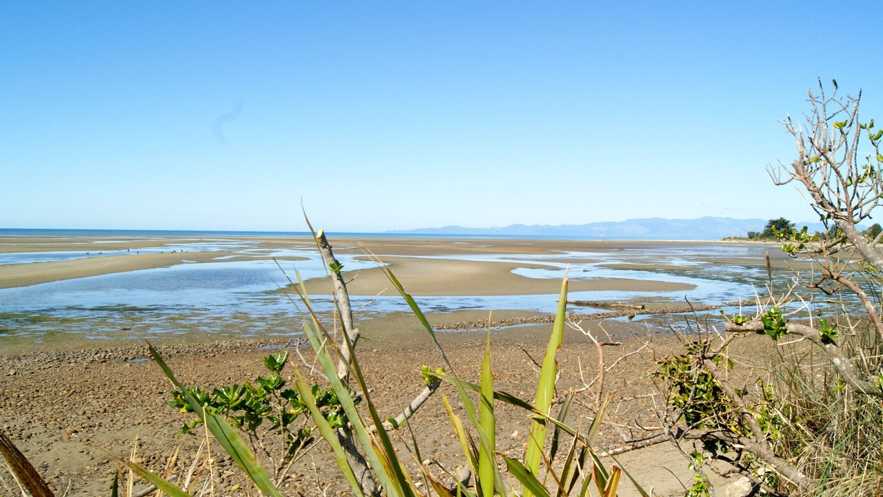 Photo of Others in Pakawau