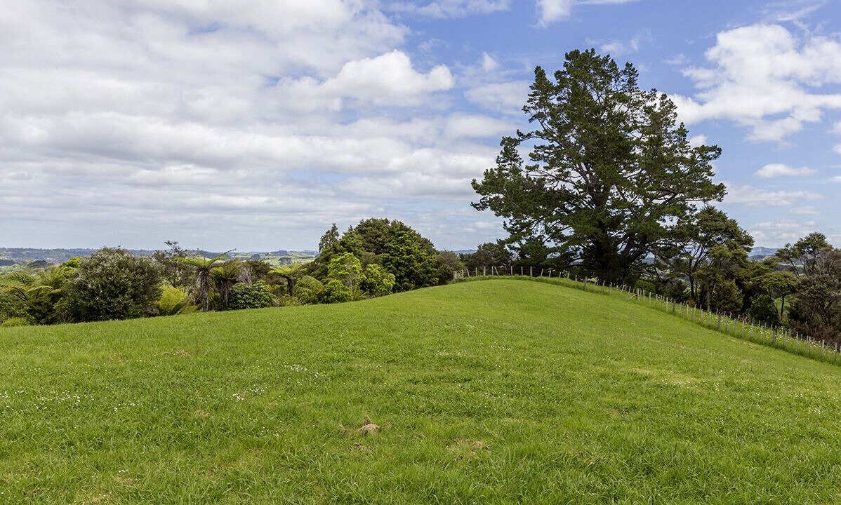 Photo of Others in Matakana