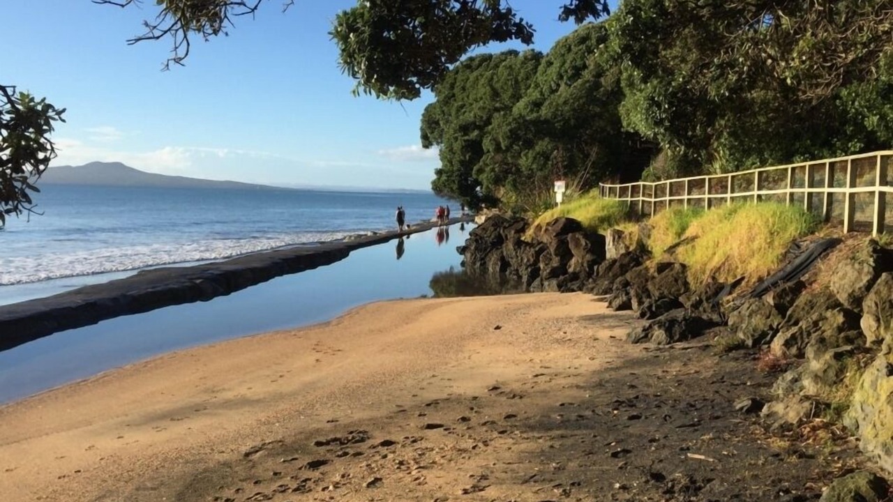 Photo of Others in Mairangi Bay