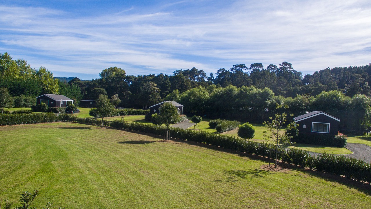 Photo of Outdoor in Matakana