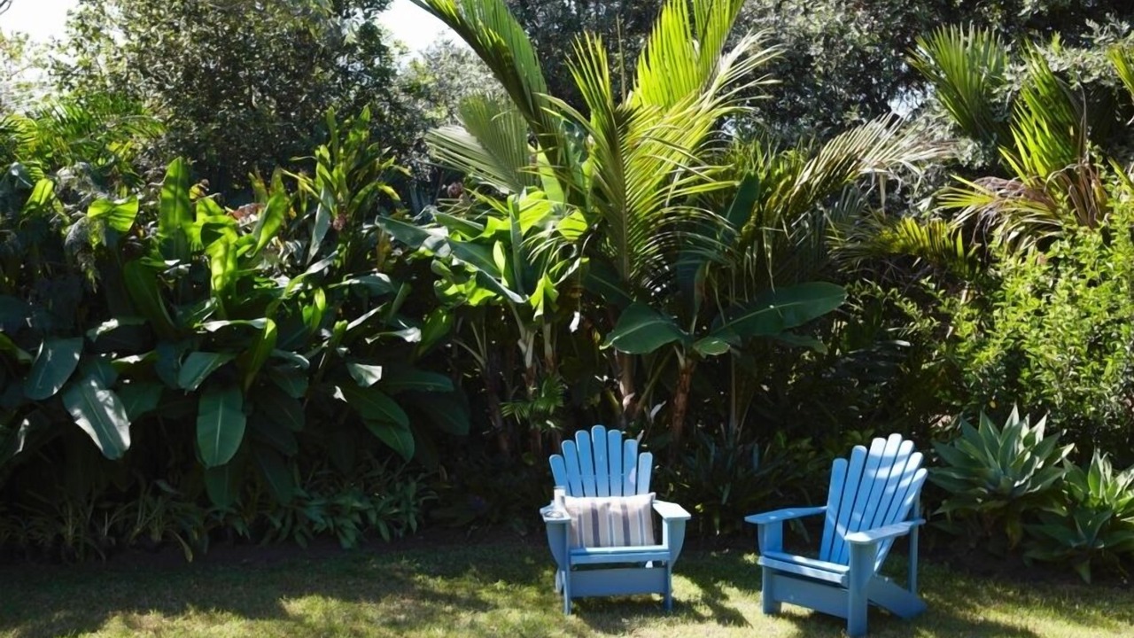 Photo of Outdoor in Pataua