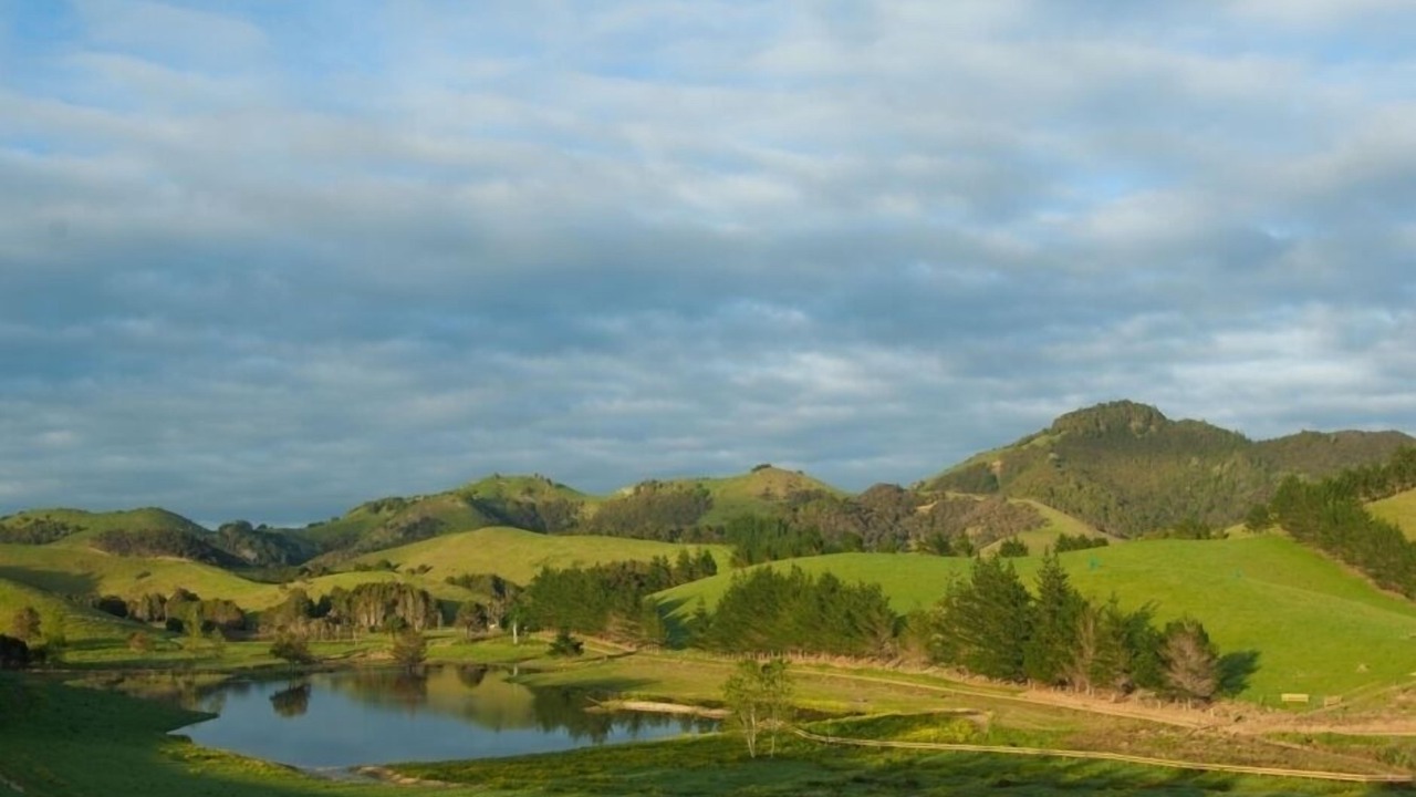 Photo of Others in Pataua