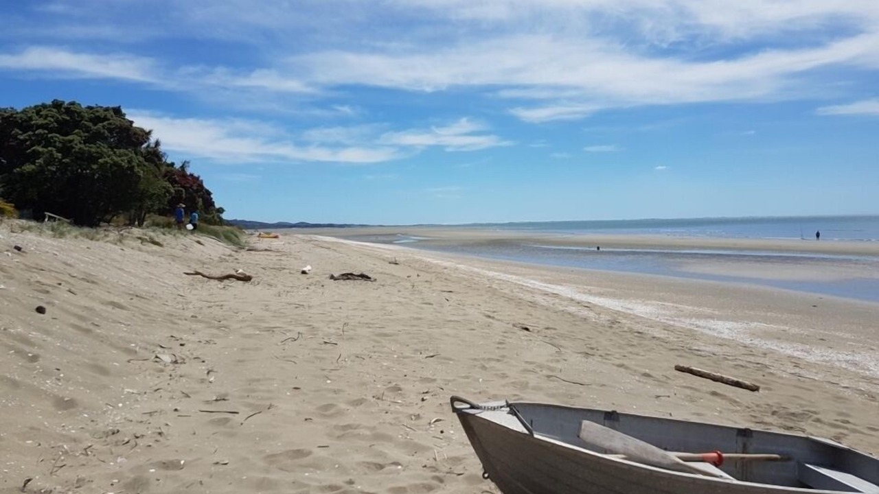 Photo of Others in Pakawau