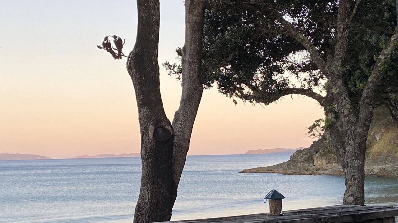 Photo of Outdoor in Whangapoua
