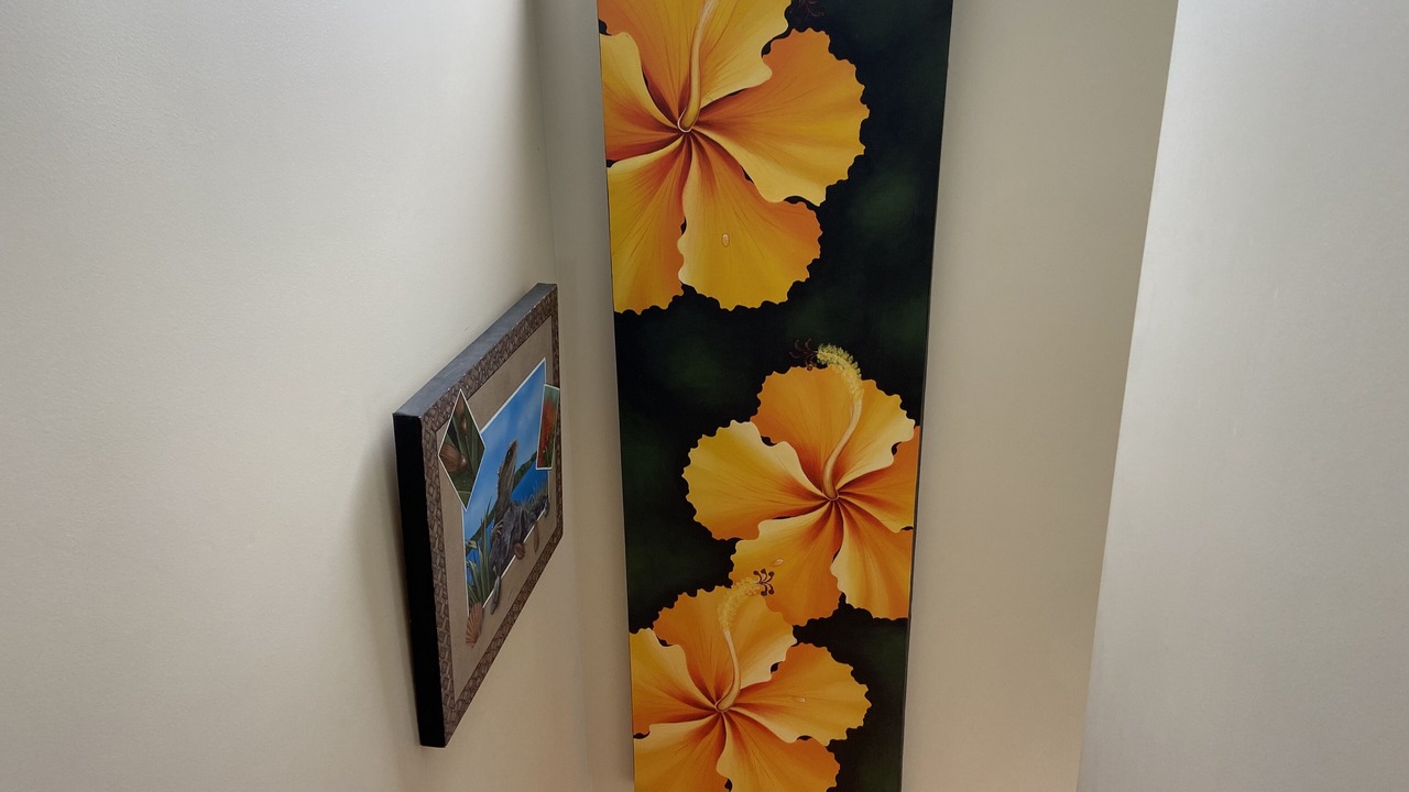 Photo of Others in Whangapoua