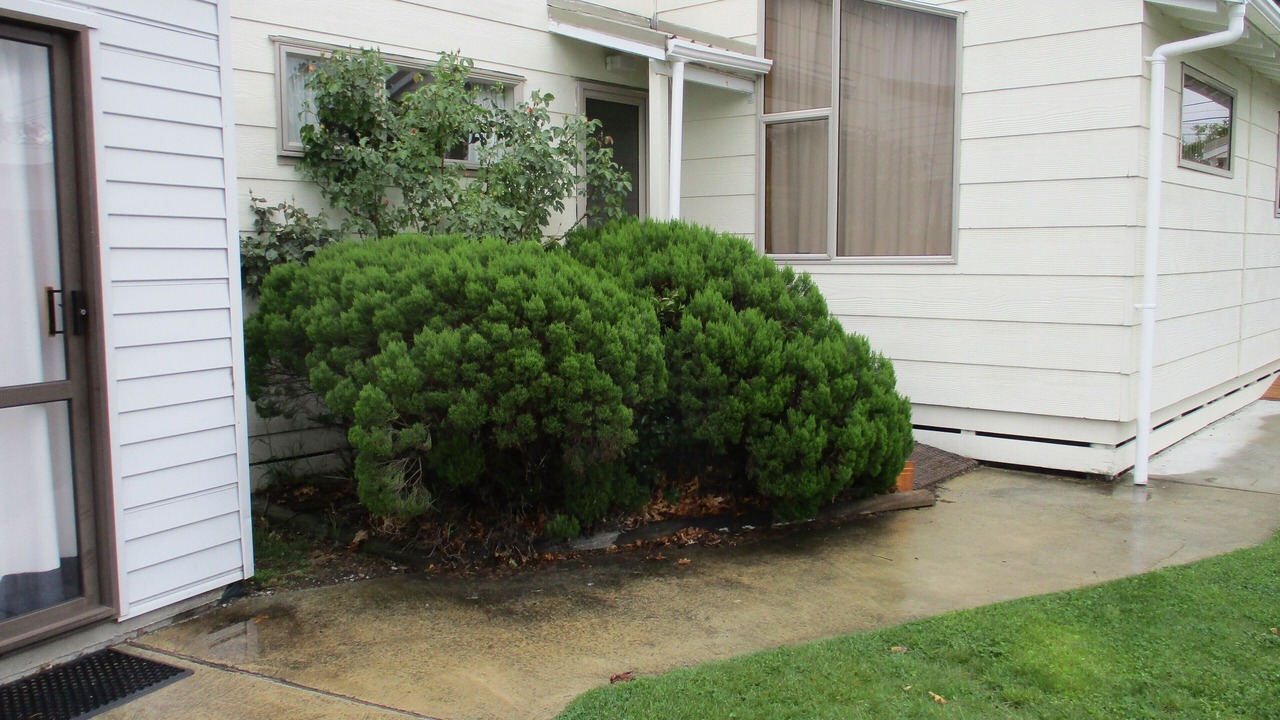 Photo of Bedroom in Twizel