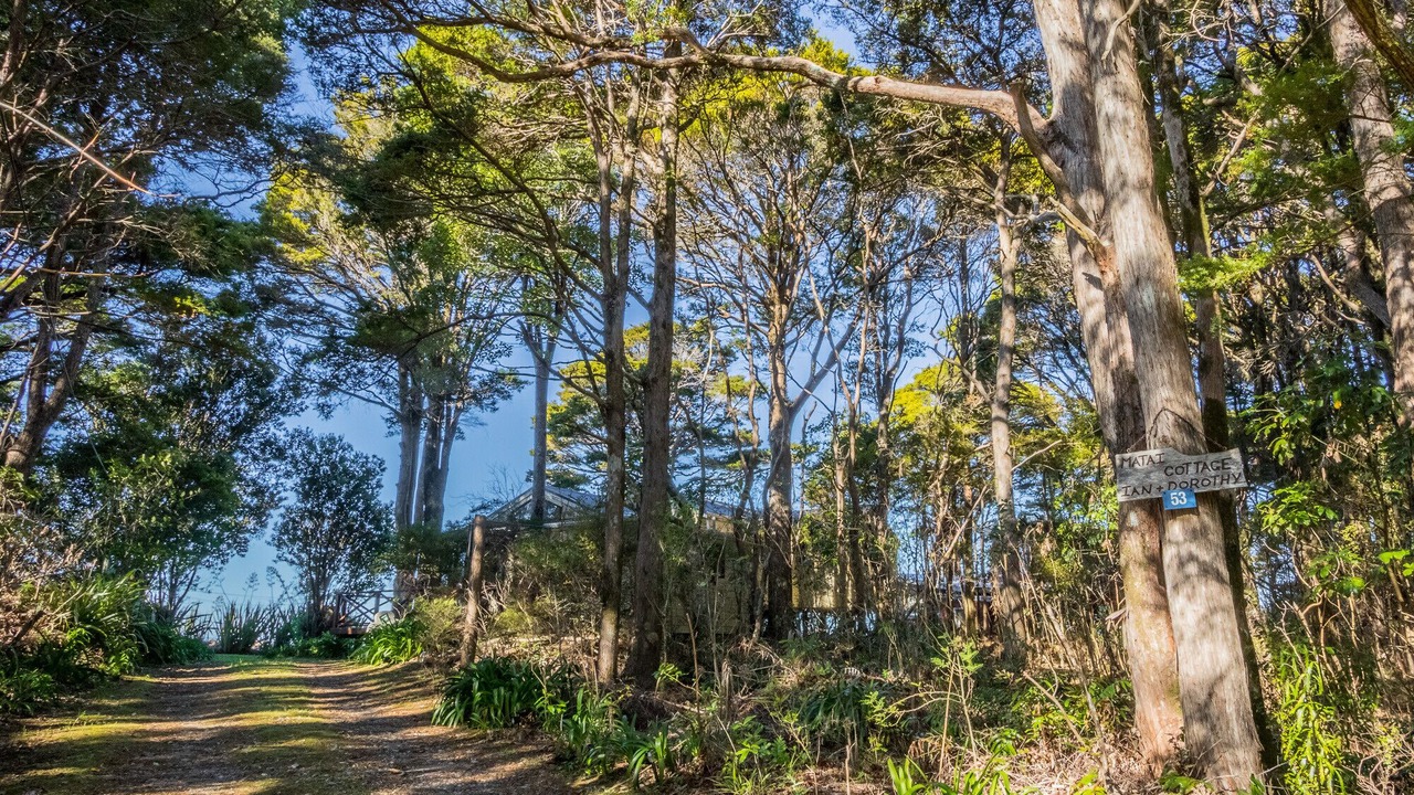 Photo of Outdoor in Collingwood