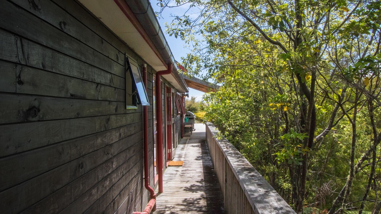 Photo of Outdoor in Ngaio Bay