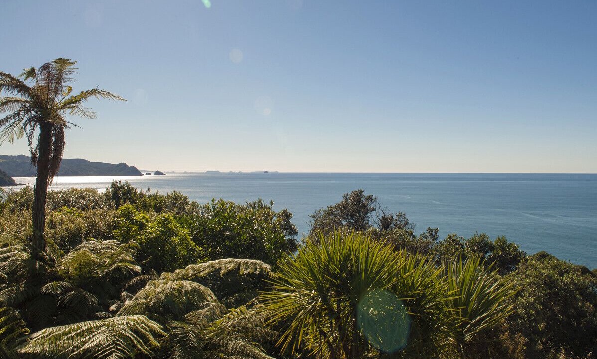 Photo of Others in Tairua