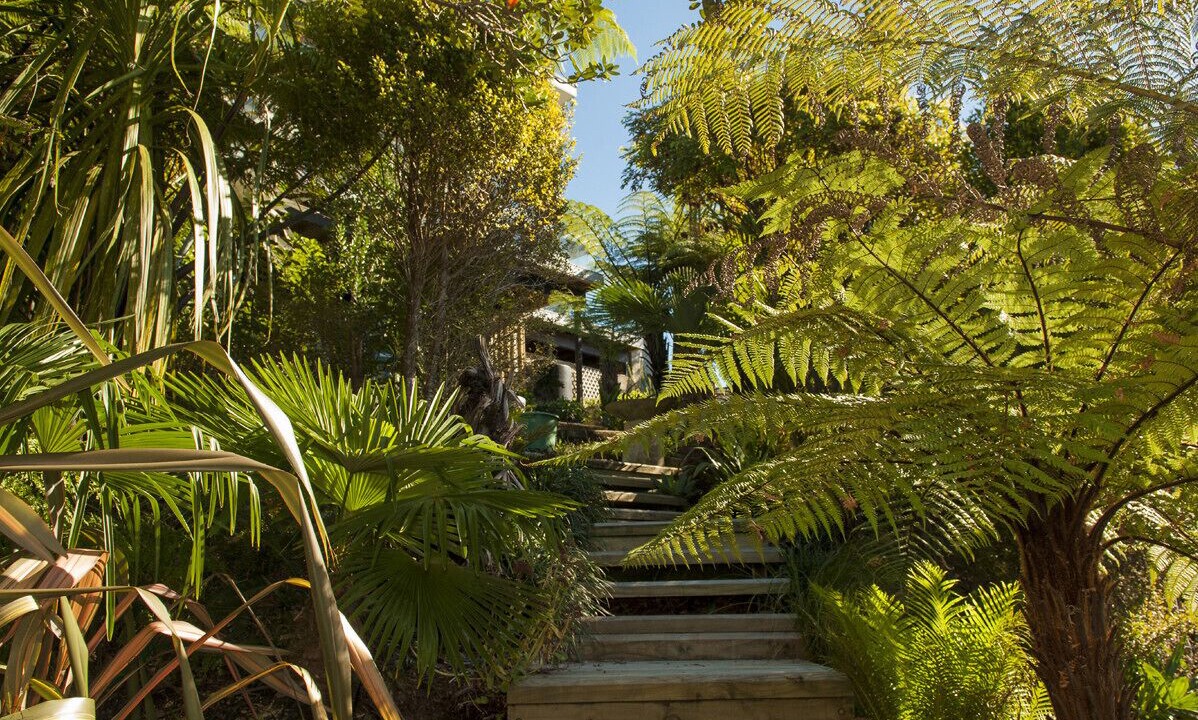 Photo of Outdoor in Tairua