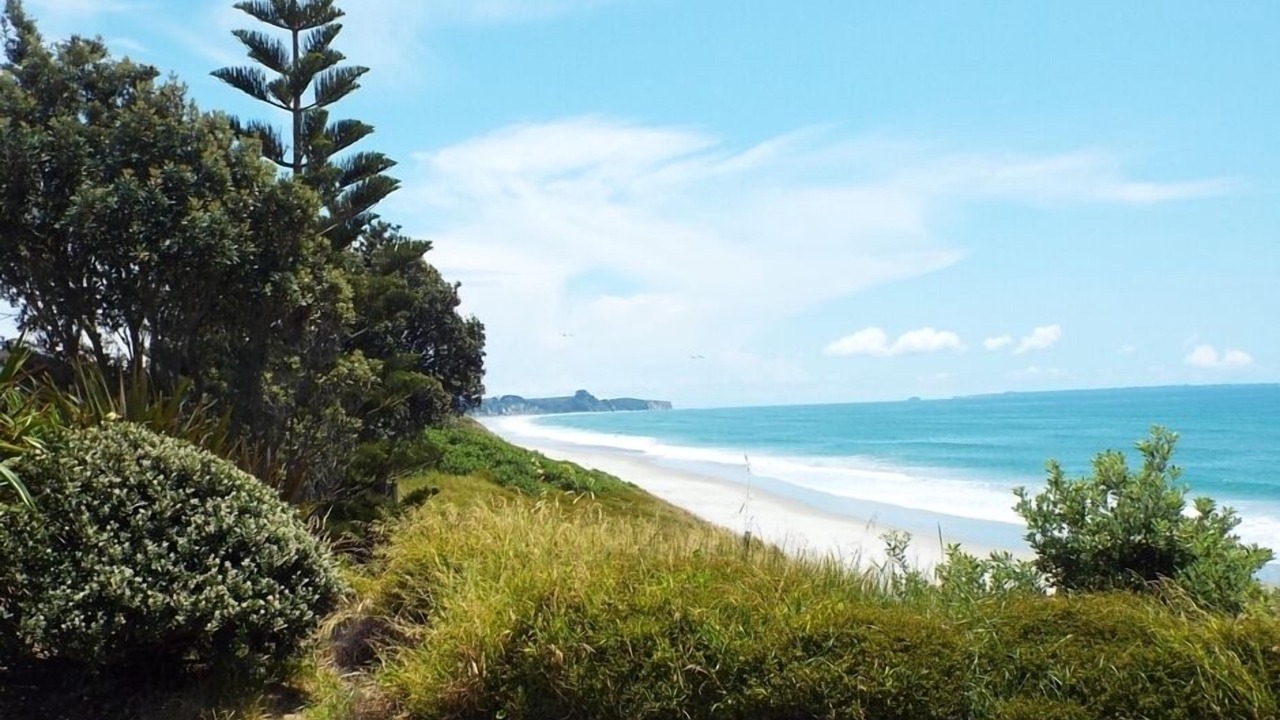 Photo of Others in Pukehina