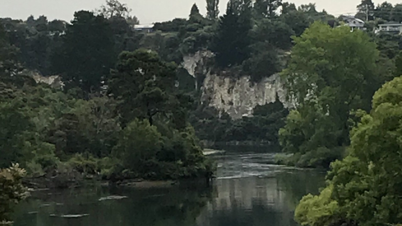 Photo of Others in Rangatira Park